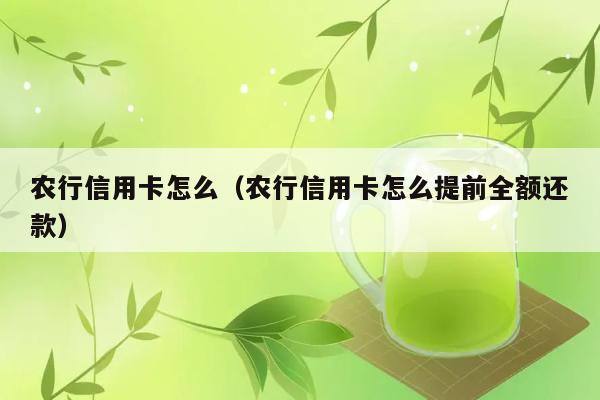 农行信用卡怎么（农行信用卡怎么提前全额还款） 