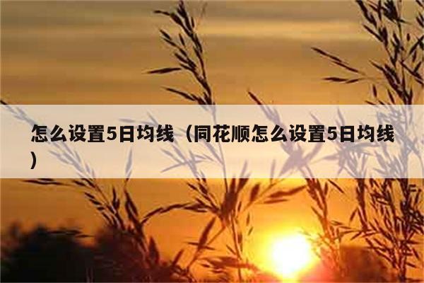 怎么设置5日均线（同花顺怎么设置5日均线） 