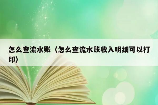 怎么查流水账（怎么查流水账收入明细可以打印） 