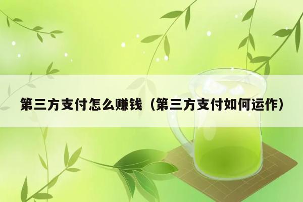 第三方支付怎么赚钱（第三方支付如何运作） 