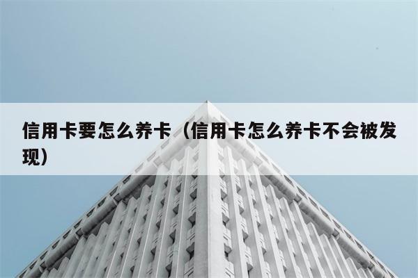 信用卡要怎么养卡（信用卡怎么养卡不会被发现） 