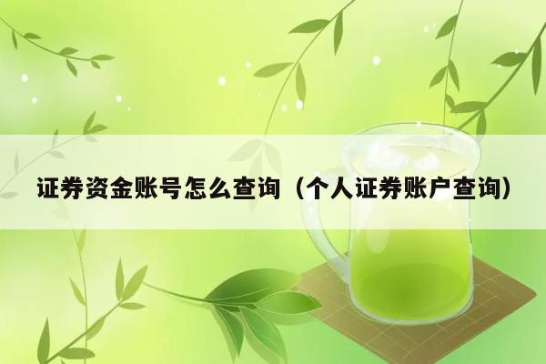 证券资金账号怎么查询（个人证券账户查询） 