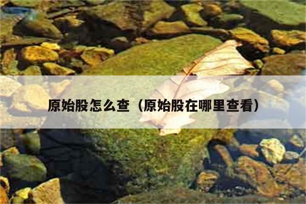 原始股怎么查（原始股在哪里查看） 