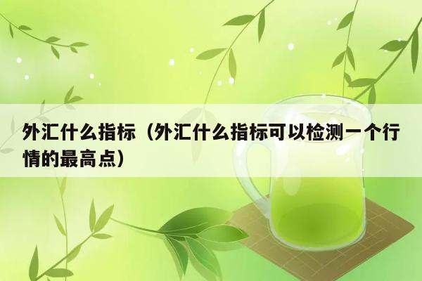 外汇什么指标（外汇什么指标可以检测一个行情的最高点） 