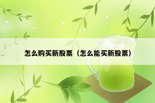 怎么购买新股票（怎么能买新股票） 