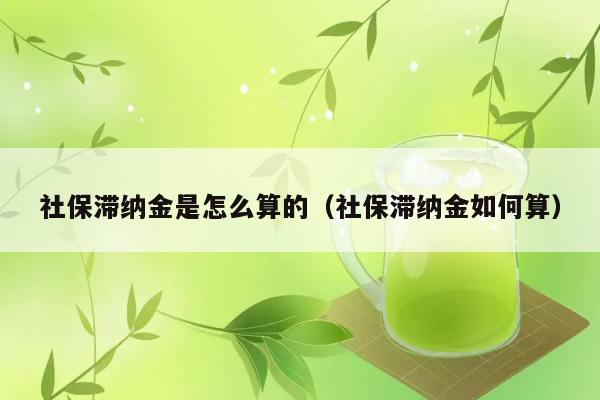 社保滞纳金是怎么算的（社保滞纳金如何算） 