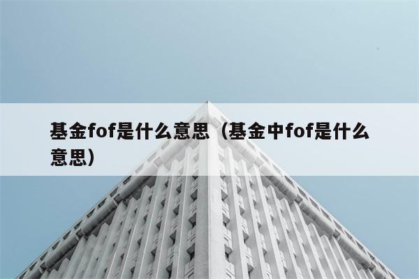 基金fof是什么意思（基金中fof是什么意思） 