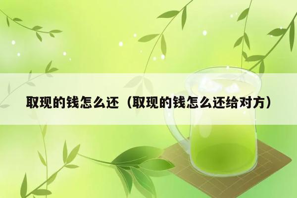 取现的钱怎么还（取现的钱怎么还给对方） 