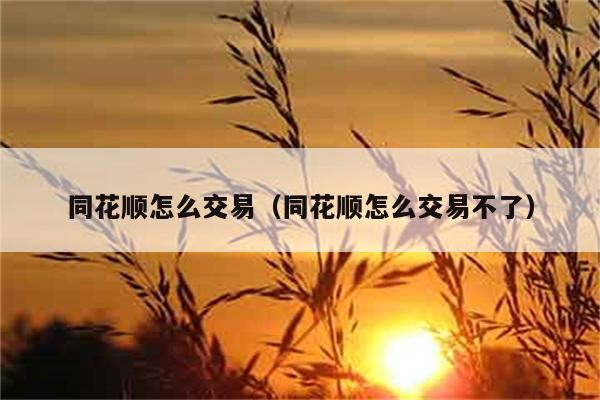 同花顺怎么交易（同花顺怎么交易不了） 