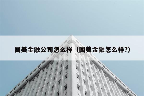 国美金融公司怎么样（国美金融怎么样?） 