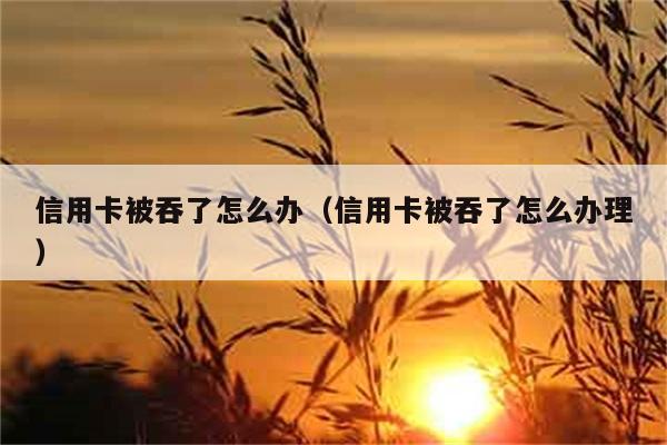 信用卡被吞了怎么办（信用卡被吞了怎么办理） 