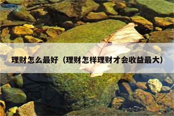 理财怎么最好（理财怎样理财才会收益最大） 