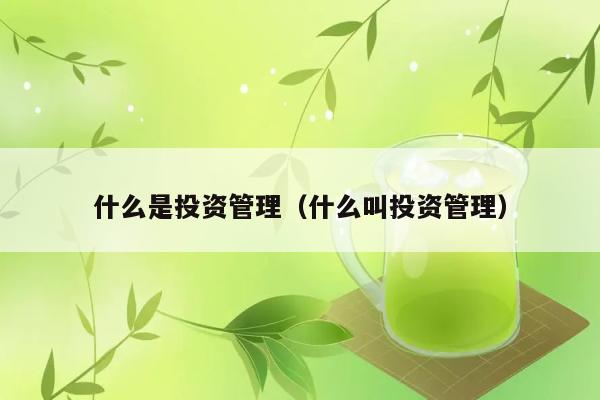 什么是投资管理（什么叫投资管理） 