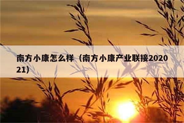 南方小康怎么样（南方小康产业联接202021） 