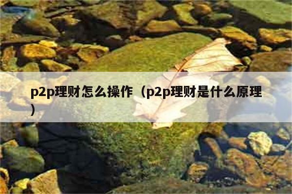 p2p理财怎么操作（p2p理财是什么原理） 