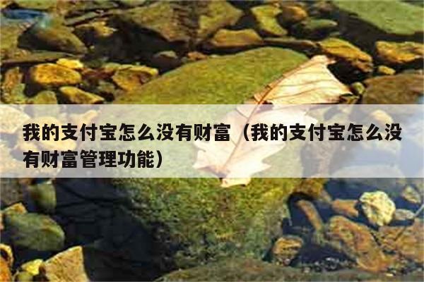 我的支付宝怎么没有财富（我的支付宝怎么没有财富管理功能） 