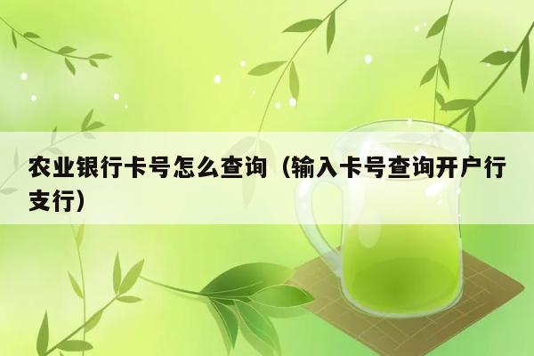 农业银行卡号怎么查询（输入卡号查询开户行支行） 