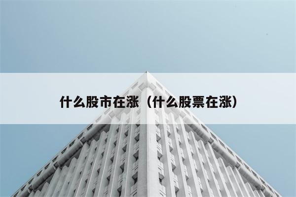 什么股市在涨（什么股票在涨） 