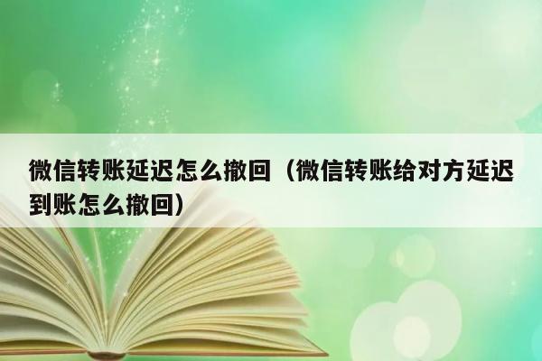 微信转账延迟怎么撤回（微信转账给对方延迟到账怎么撤回） 