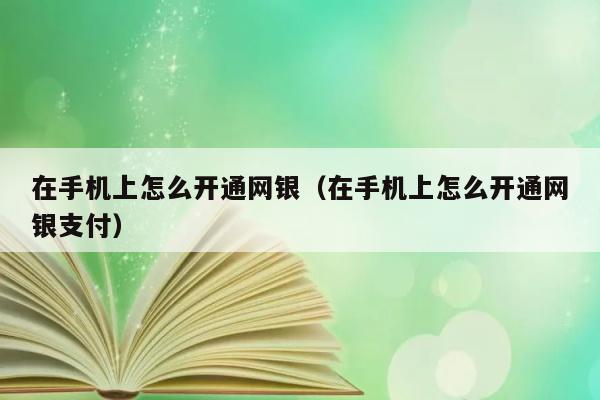 在手机上怎么开通网银（在手机上怎么开通网银支付） 