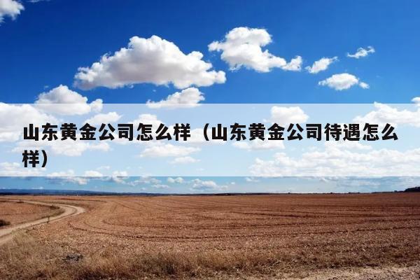 山东黄金公司怎么样（山东黄金公司待遇怎么样） 