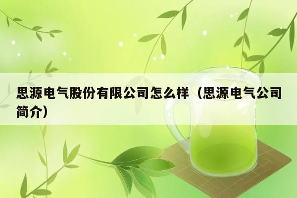 思源电气股份有限公司怎么样（思源电气公司简介） 