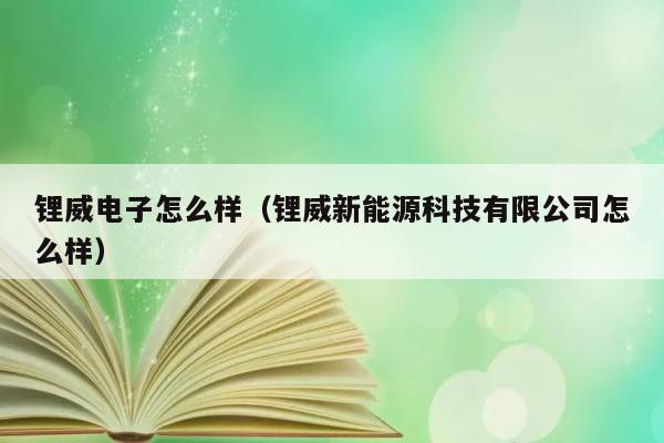 锂威电子怎么样（锂威新能源科技有限公司怎么样） 