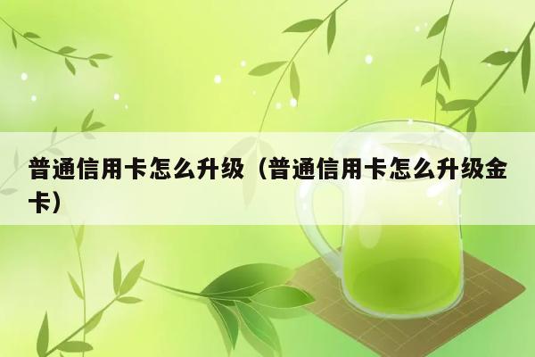 普通信用卡怎么升级（普通信用卡怎么升级金卡） 