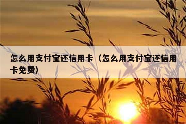 怎么用支付宝还信用卡（怎么用支付宝还信用卡免费） 