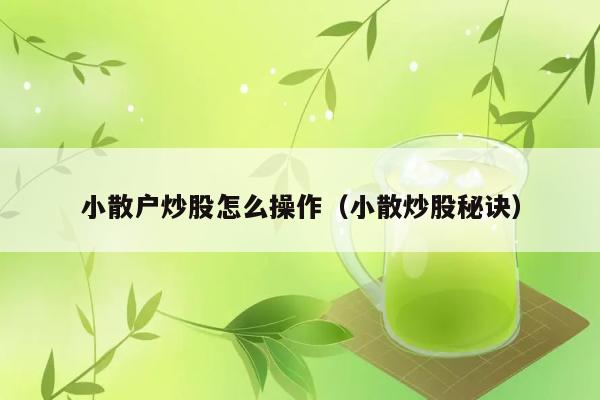 小散户炒股怎么操作（小散炒股秘诀） 