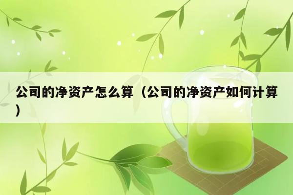 公司的净资产怎么算（公司的净资产如何计算） 