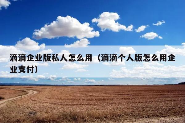 滴滴企业版私人怎么用（滴滴个人版怎么用企业支付） 