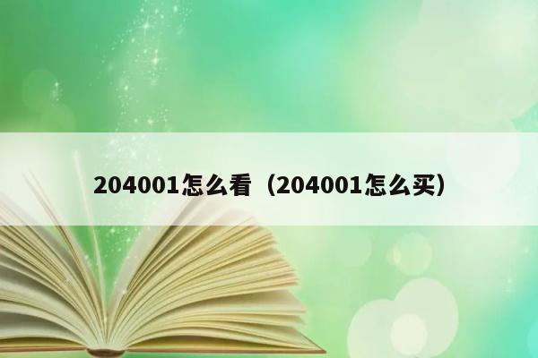 204001怎么看（204001怎么买） 