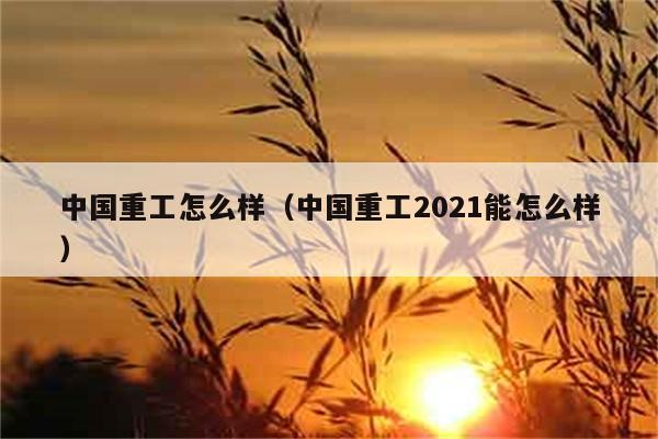 中国重工怎么样（中国重工2021能怎么样） 