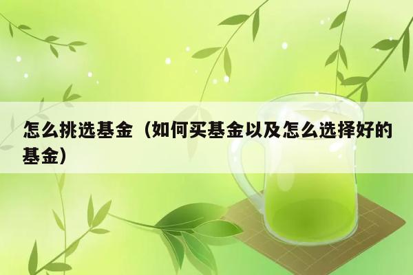 怎么挑选基金（如何买基金以及怎么选择好的基金） 