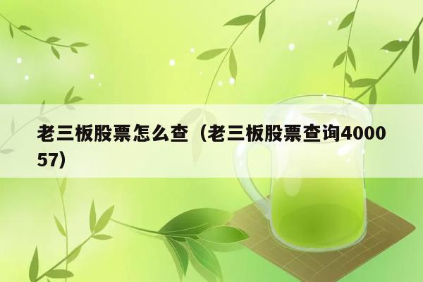 老三板股票怎么查（老三板股票查询400057） 