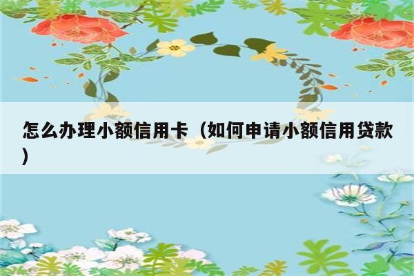 怎么办理小额信用卡（如何申请小额信用贷款） 