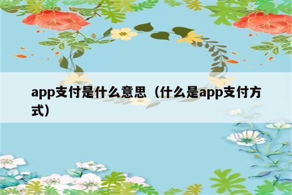 app支付是什么意思（什么是app支付方式） 