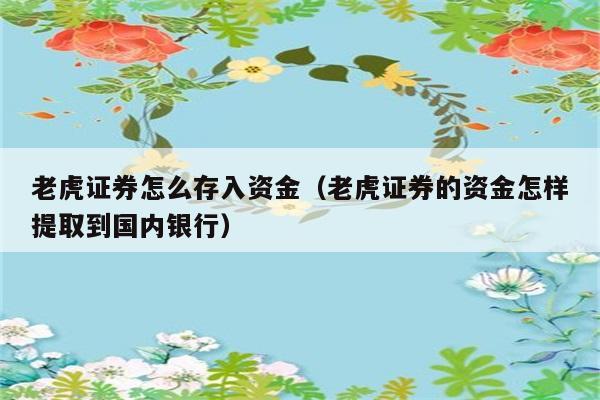 老虎证券怎么存入资金（老虎证券的资金怎样提取到国内银行） 