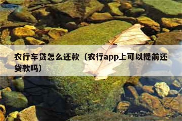 农行车贷怎么还款（农行app上可以提前还贷款吗） 