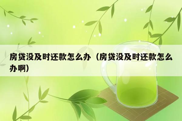 房贷没及时还款怎么办（房贷没及时还款怎么办啊） 