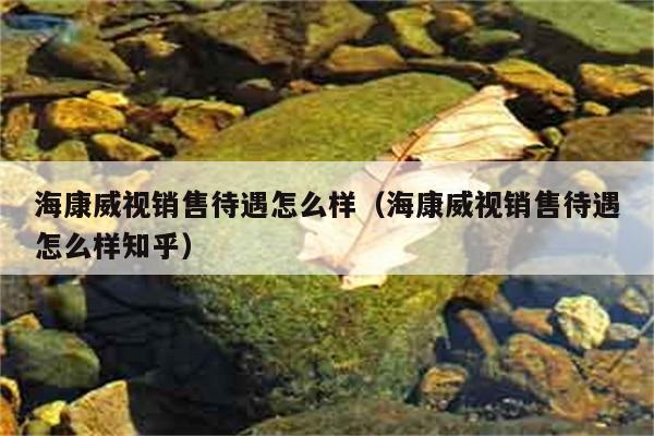 海康威视销售待遇怎么样（海康威视销售待遇怎么样知乎） 