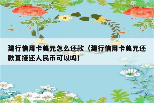 建行信用卡美元怎么还款（建行信用卡美元还款直接还人民币可以吗） 