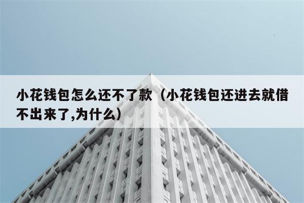 小花钱包怎么还不了款（小花钱包还进去就借不出来了,为什么） 