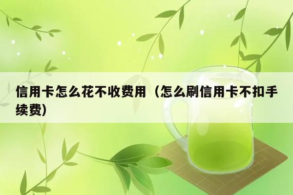 信用卡怎么花不收费用（怎么刷信用卡不扣手续费） 