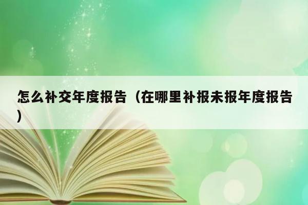 怎么补交年度报告（在哪里补报未报年度报告） 