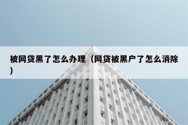 被网贷黑了怎么办理（网贷被黑户了怎么消除） 