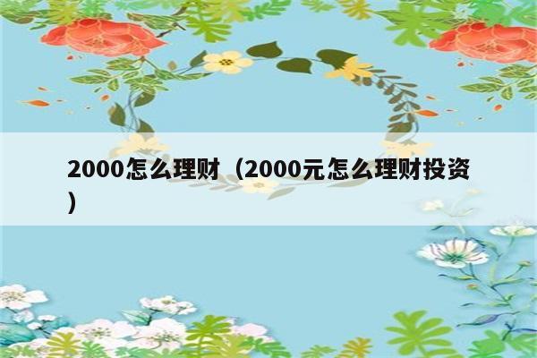 2000怎么理财（2000元怎么理财投资） 