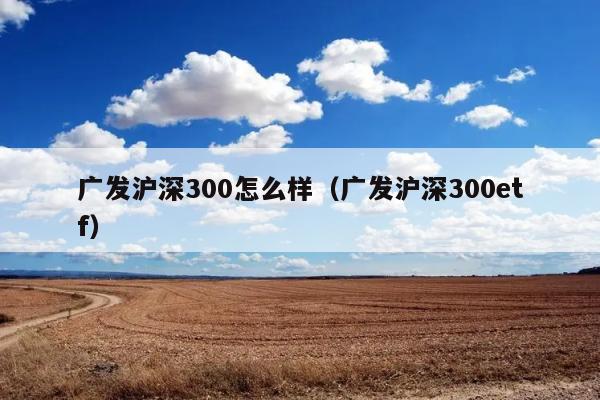 广发沪深300怎么样（广发沪深300etf） 