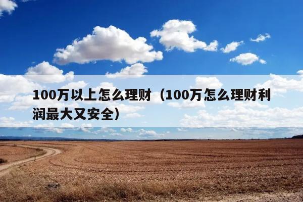 100万以上怎么理财（100万怎么理财利润最大又安全） 